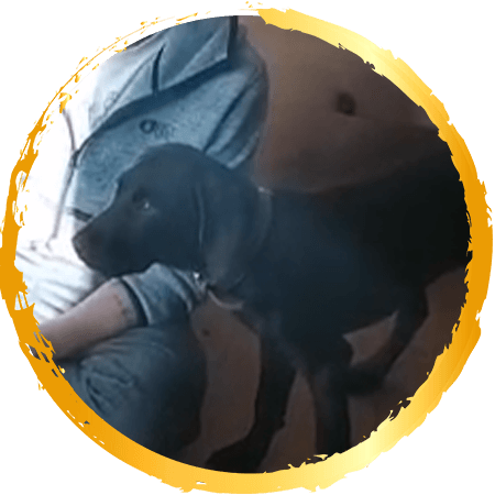 Kerstin, Heinz, Kids & Rugan